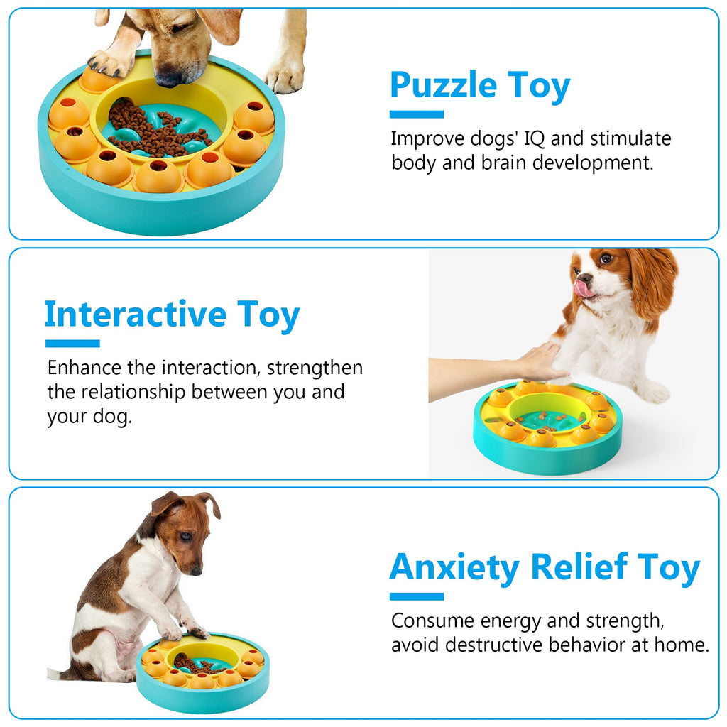 Dog puzzle toy with text describing its functions on a blue background