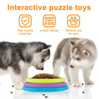 Two puppies interacting with a colorful puzzle toy on a white background.
